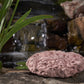 The Magic Pond Rock (Medium)