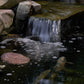 The Magic Pond Rock (Medium)