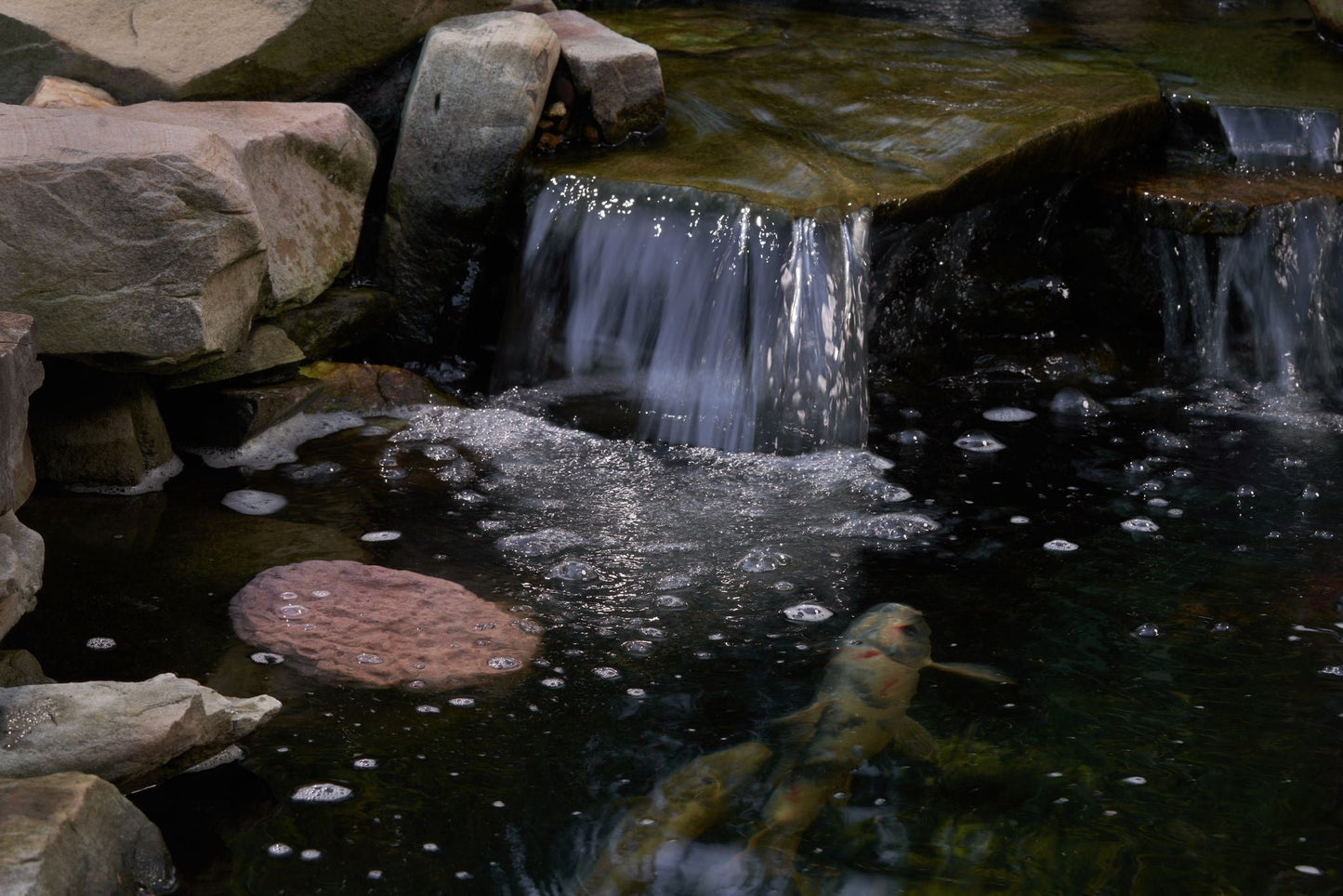 The Magic Pond Rock (Large)